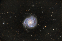 M74